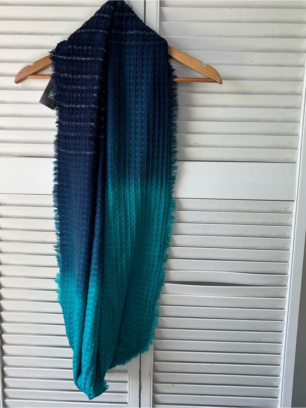 NWT Inc International Concepts blue ombré scarf
